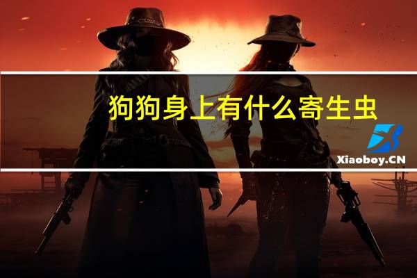 狗狗身上有什么寄生虫