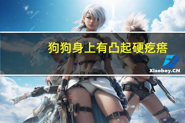 狗狗身上有凸起硬疙瘩