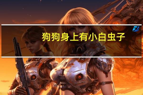 狗狗身上有小白虫子
