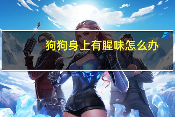 狗狗身上有腥味怎么办