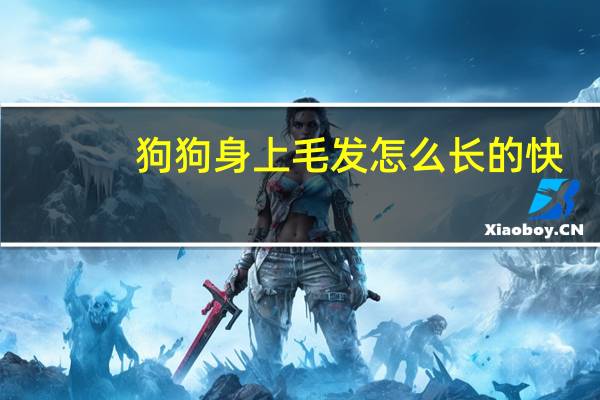 狗狗身上毛发怎么长的快