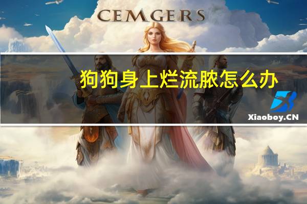 狗狗身上烂流脓怎么办