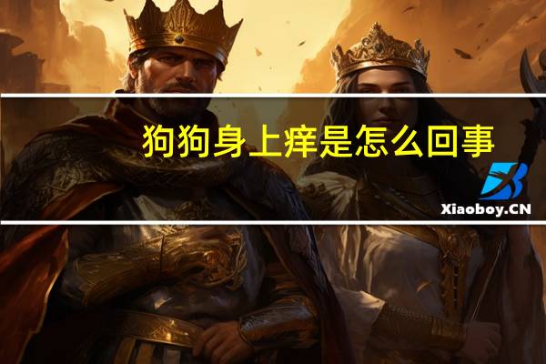 狗狗身上痒是怎么回事
