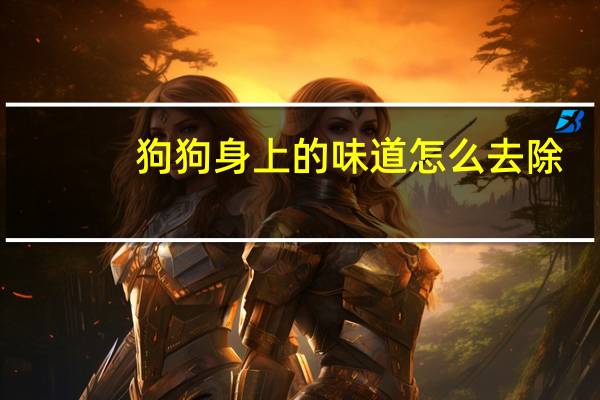 狗狗身上的味道怎么去除