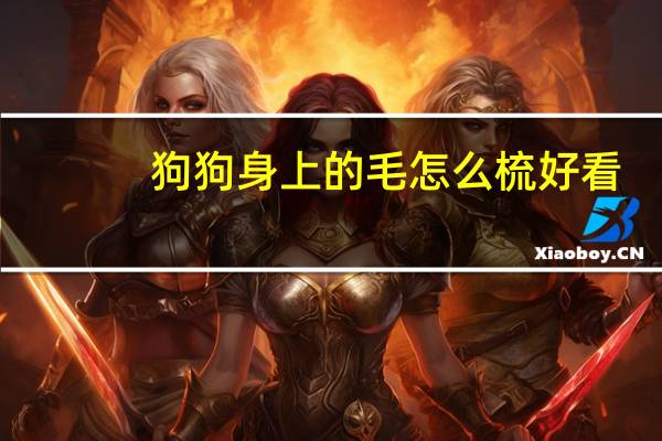 狗狗身上的毛怎么梳好看