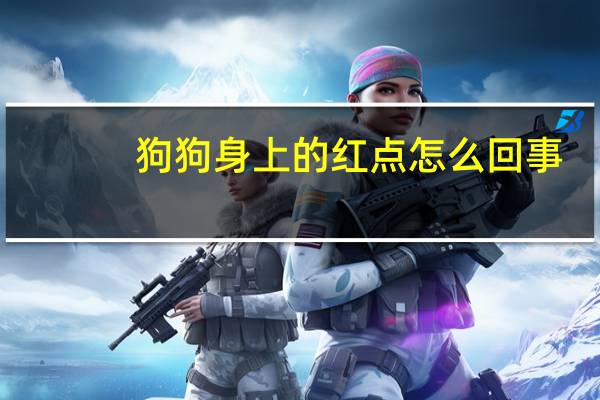 狗狗身上的红点怎么回事