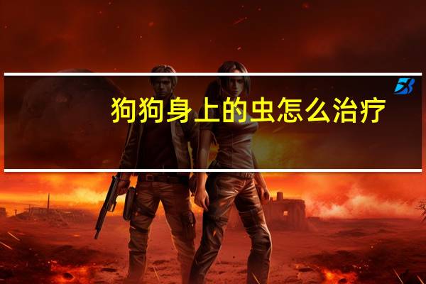 狗狗身上的虫怎么治疗