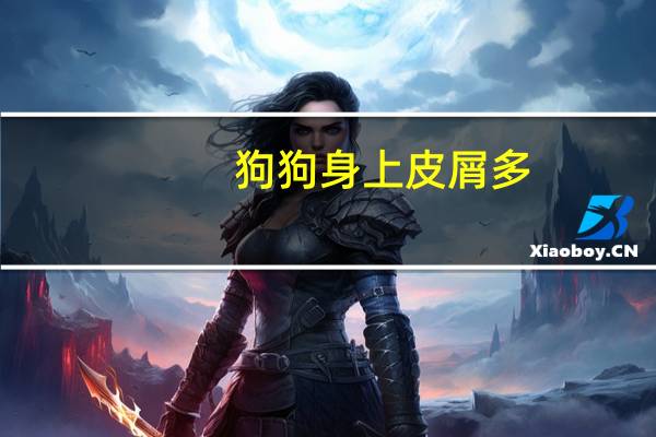 狗狗身上皮屑多