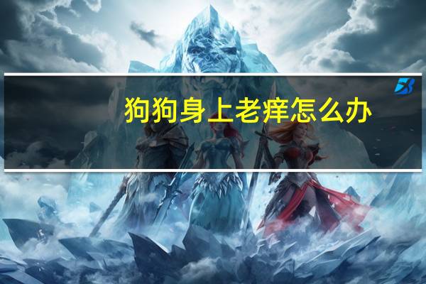 狗狗身上老痒怎么办