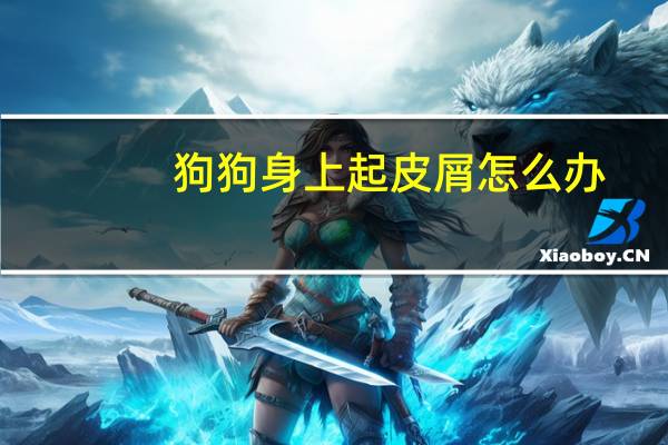 狗狗身上起皮屑怎么办