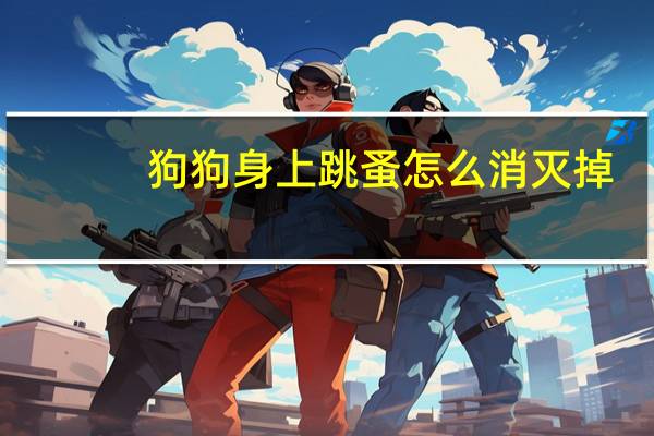 狗狗身上跳蚤怎么消灭掉