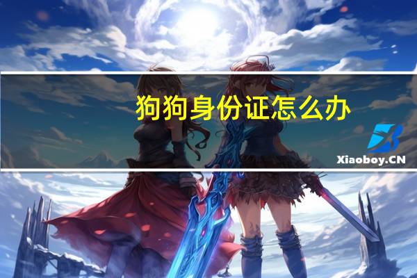 狗狗身份证怎么办