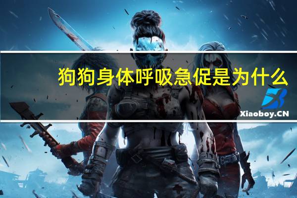 狗狗身体呼吸急促是为什么