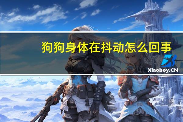 狗狗身体在抖动怎么回事
