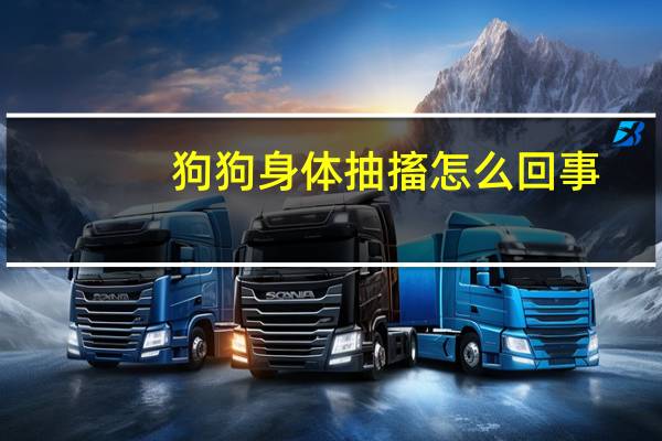 狗狗身体抽搐怎么回事