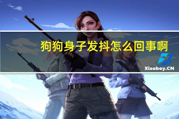 狗狗身子发抖怎么回事啊