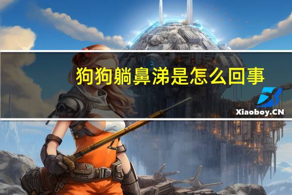 狗狗躺鼻涕是怎么回事