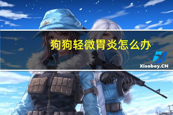 狗狗轻微胃炎怎么办