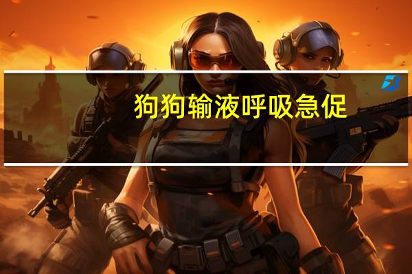 狗狗输液呼吸急促
