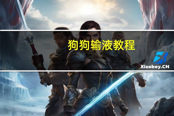 狗狗输液教程