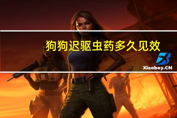 狗狗迟驱虫药多久见效
