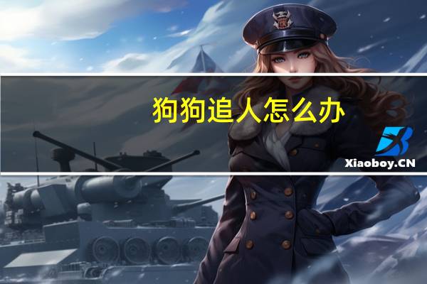 狗狗追人怎么办