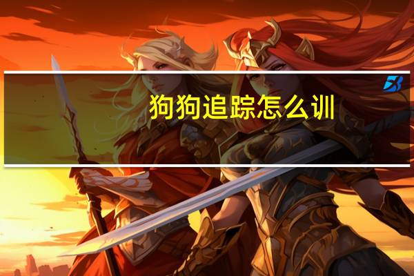 狗狗追踪怎么训