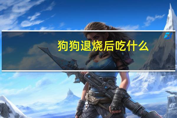 狗狗退烧后吃什么