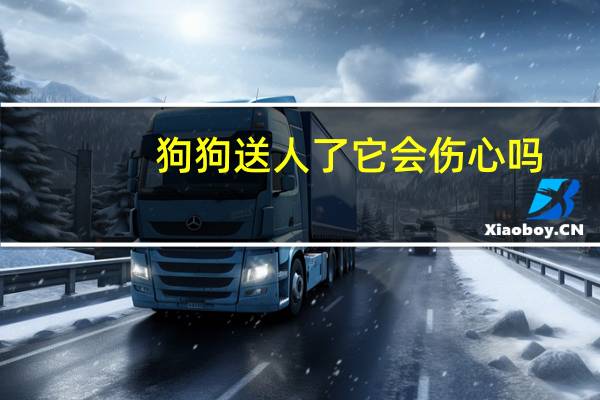 狗狗送人了它会伤心吗