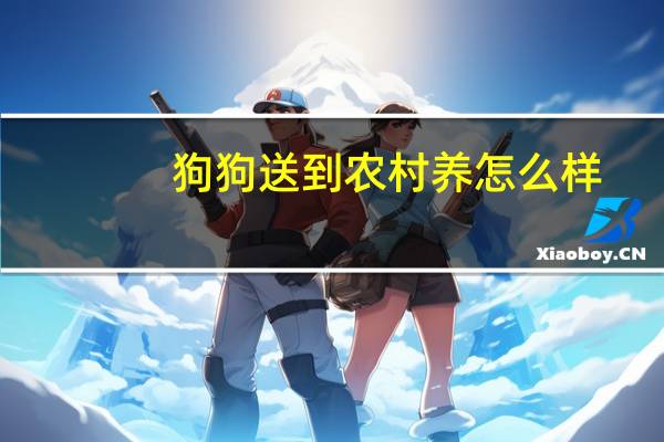 狗狗送到农村养怎么样