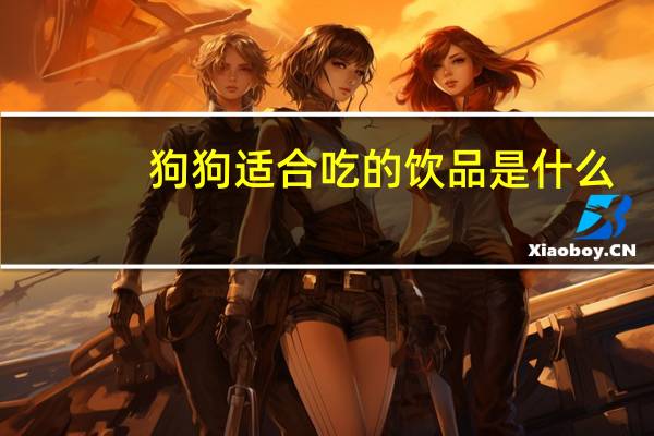 狗狗适合吃的饮品是什么