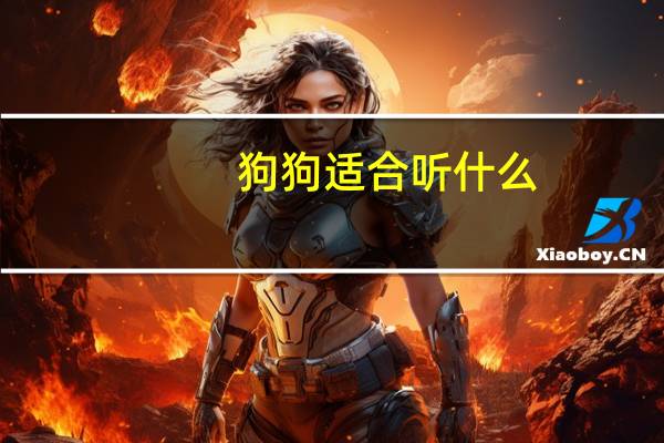 狗狗适合听什么