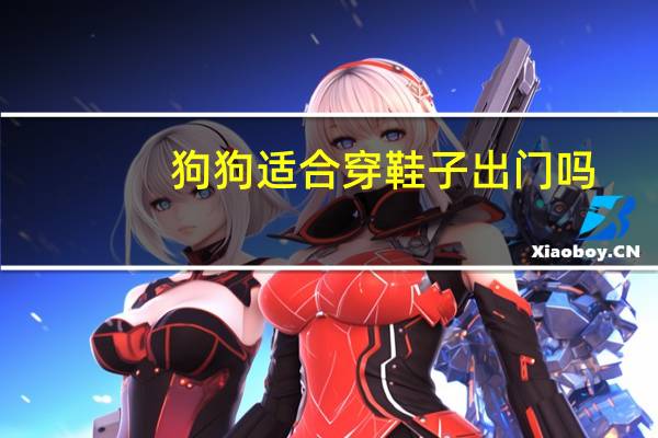 狗狗适合穿鞋子出门吗