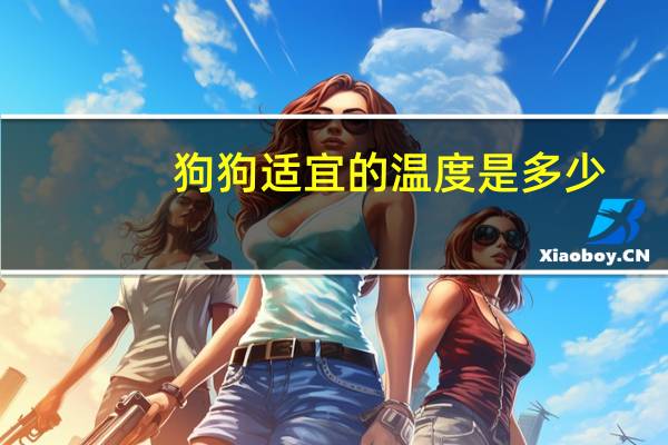 狗狗适宜的温度是多少