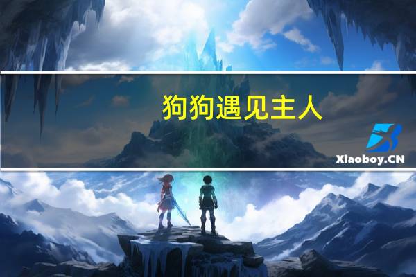 狗狗遇见主人