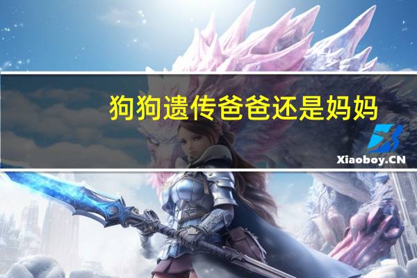 狗狗遗传爸爸还是妈妈