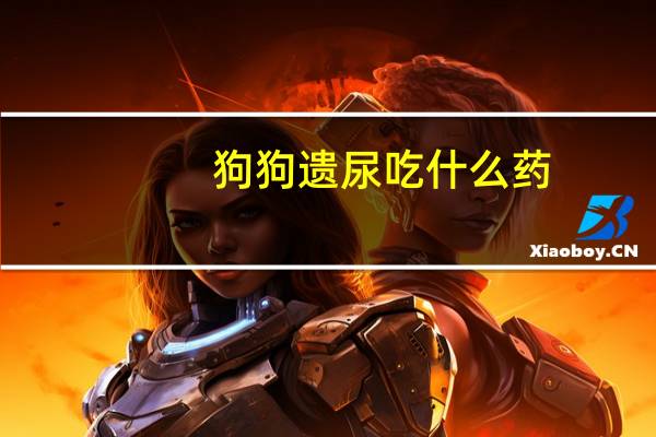 狗狗遗尿吃什么药