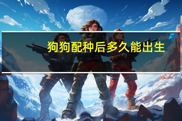 狗狗配种后多久能出生