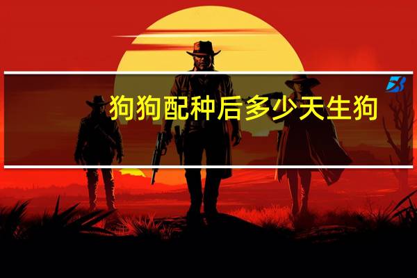 狗狗配种后多少天生狗