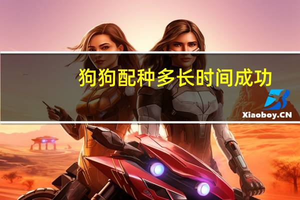 狗狗配种多长时间成功