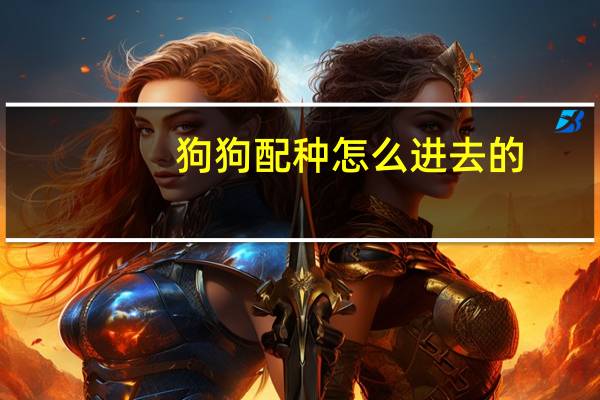 狗狗配种怎么进去的