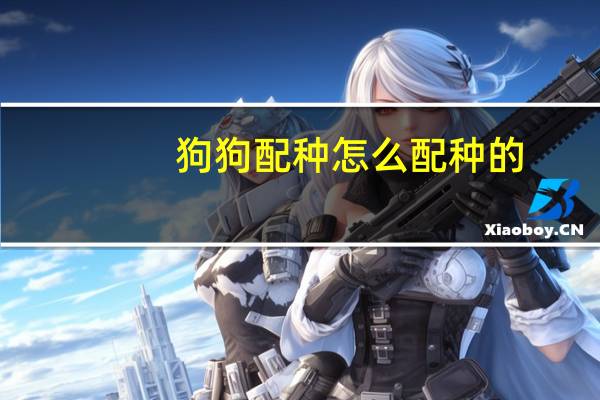 狗狗配种怎么配种的