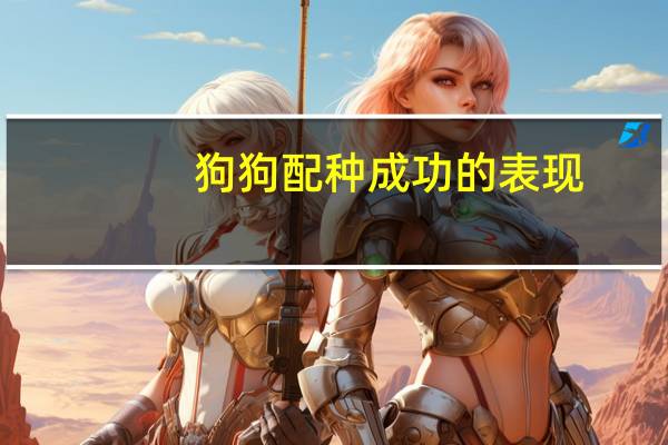狗狗配种成功的表现