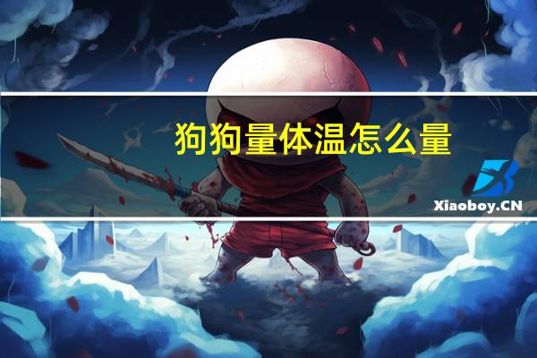 狗狗量体温怎么量