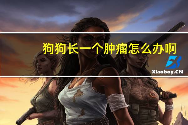 狗狗长一个肿瘤怎么办啊