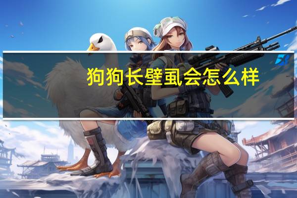 狗狗长壁虱会怎么样