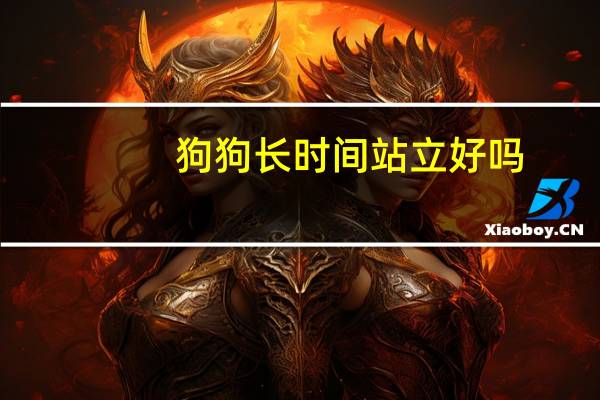 狗狗长时间站立好吗
