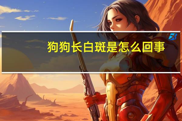 狗狗长白斑是怎么回事