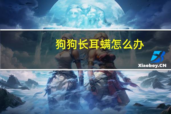 狗狗长耳螨怎么办
