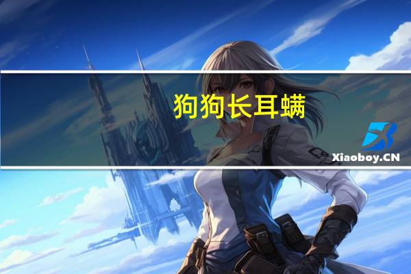狗狗长耳螨